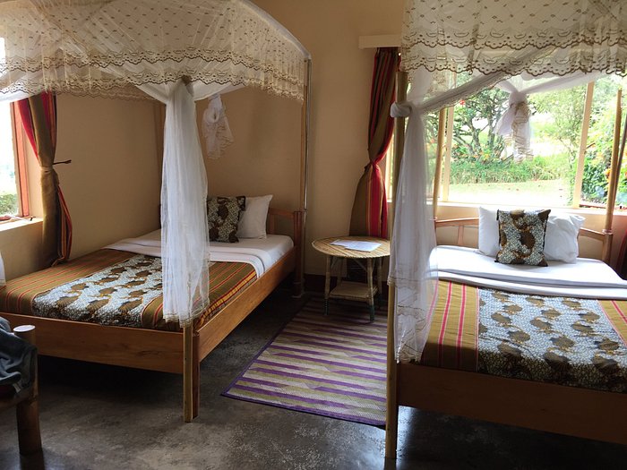 Chimpanzee Forest Lodge