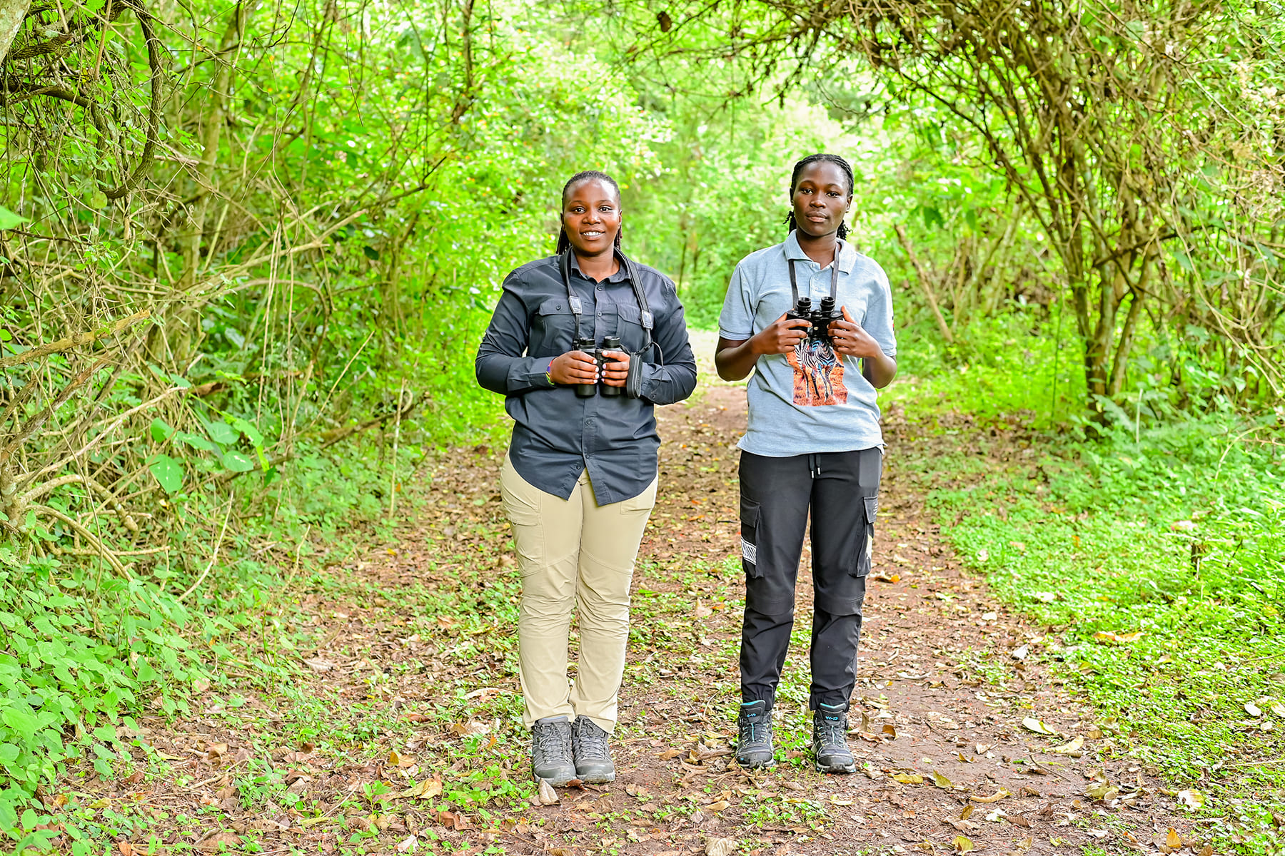 Bird Watching Safari
