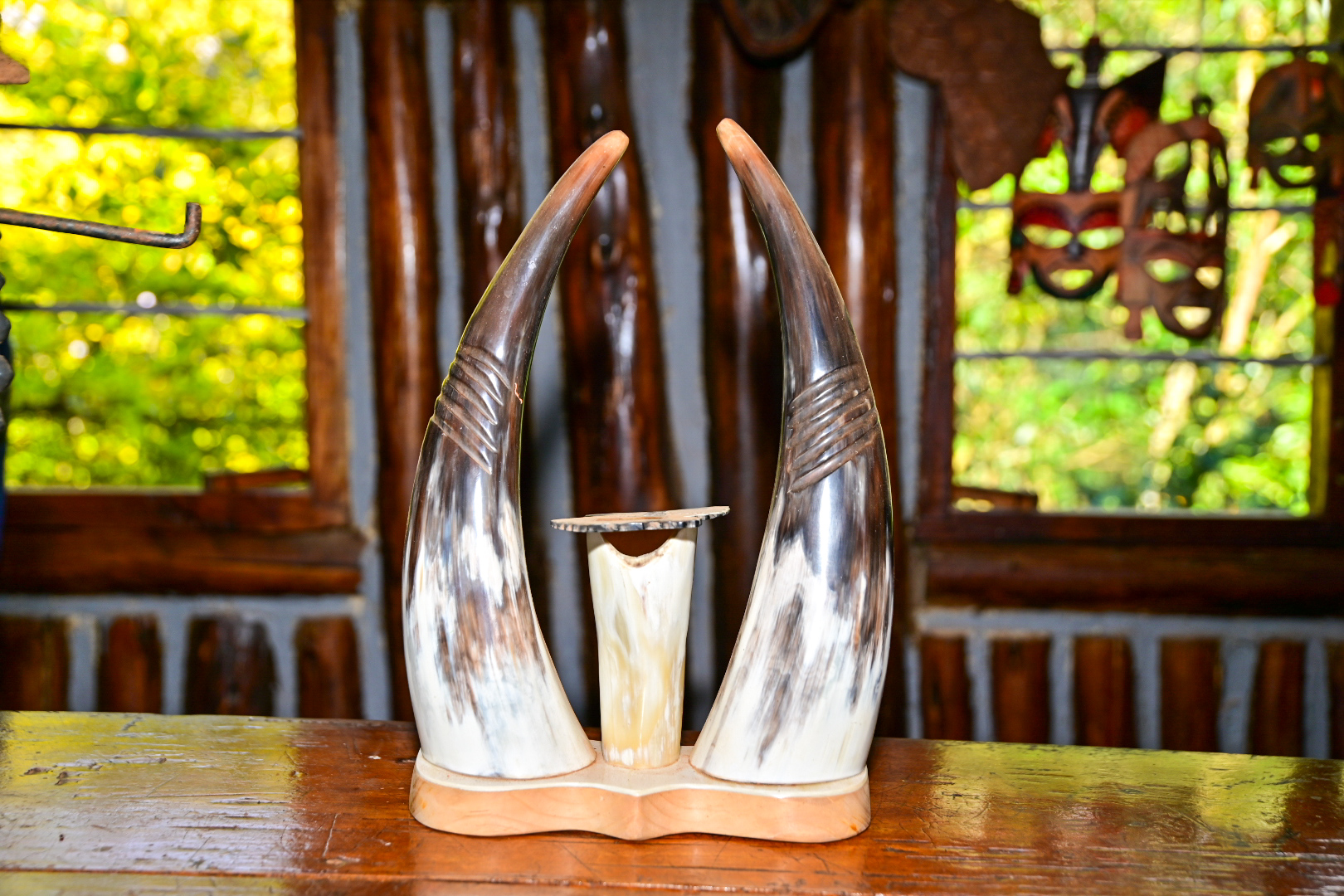 Polished Ankole Cow Horns