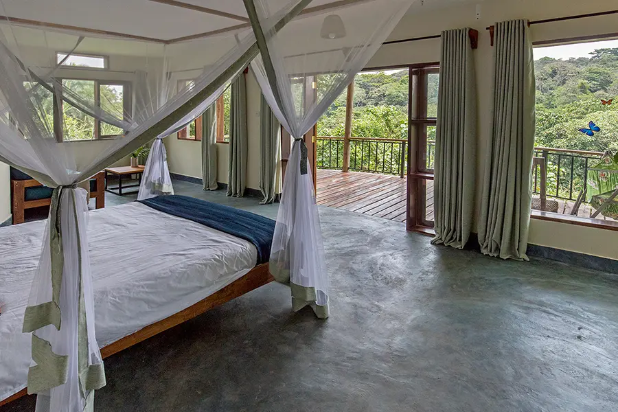 Turaco Treetops Lodge