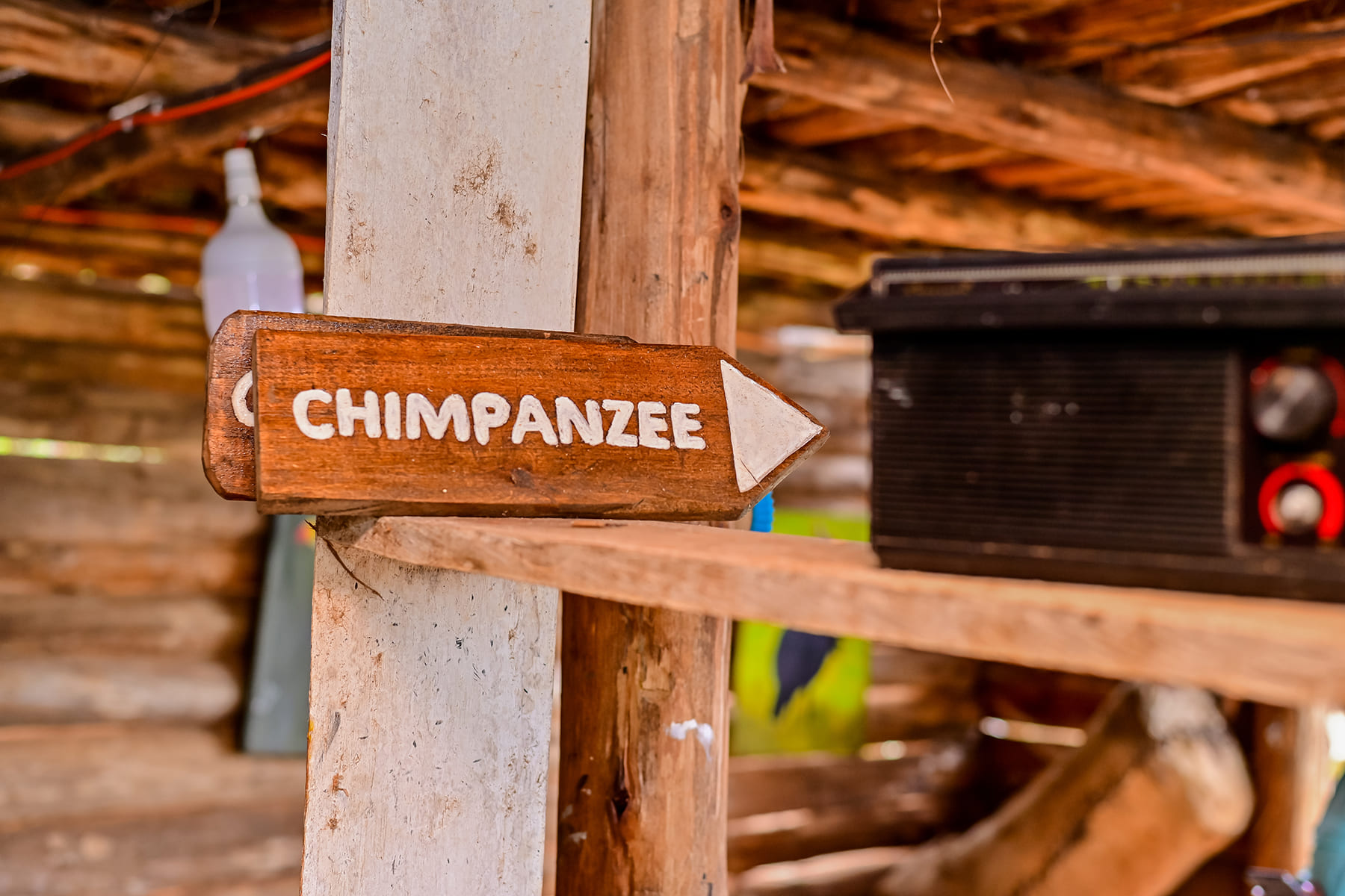 Hand Carved Signpost