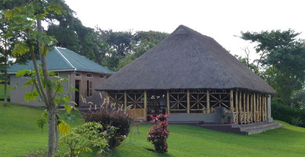 Chimpanzee Forest Lodge