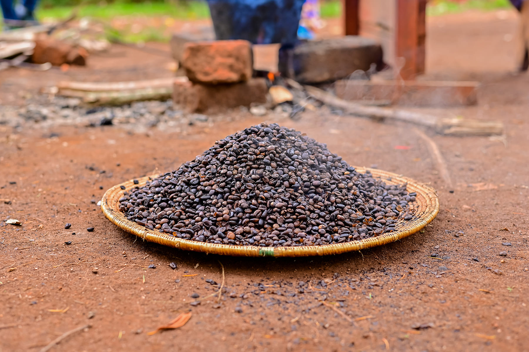 Kibale Forest Spiced Coffee Beans