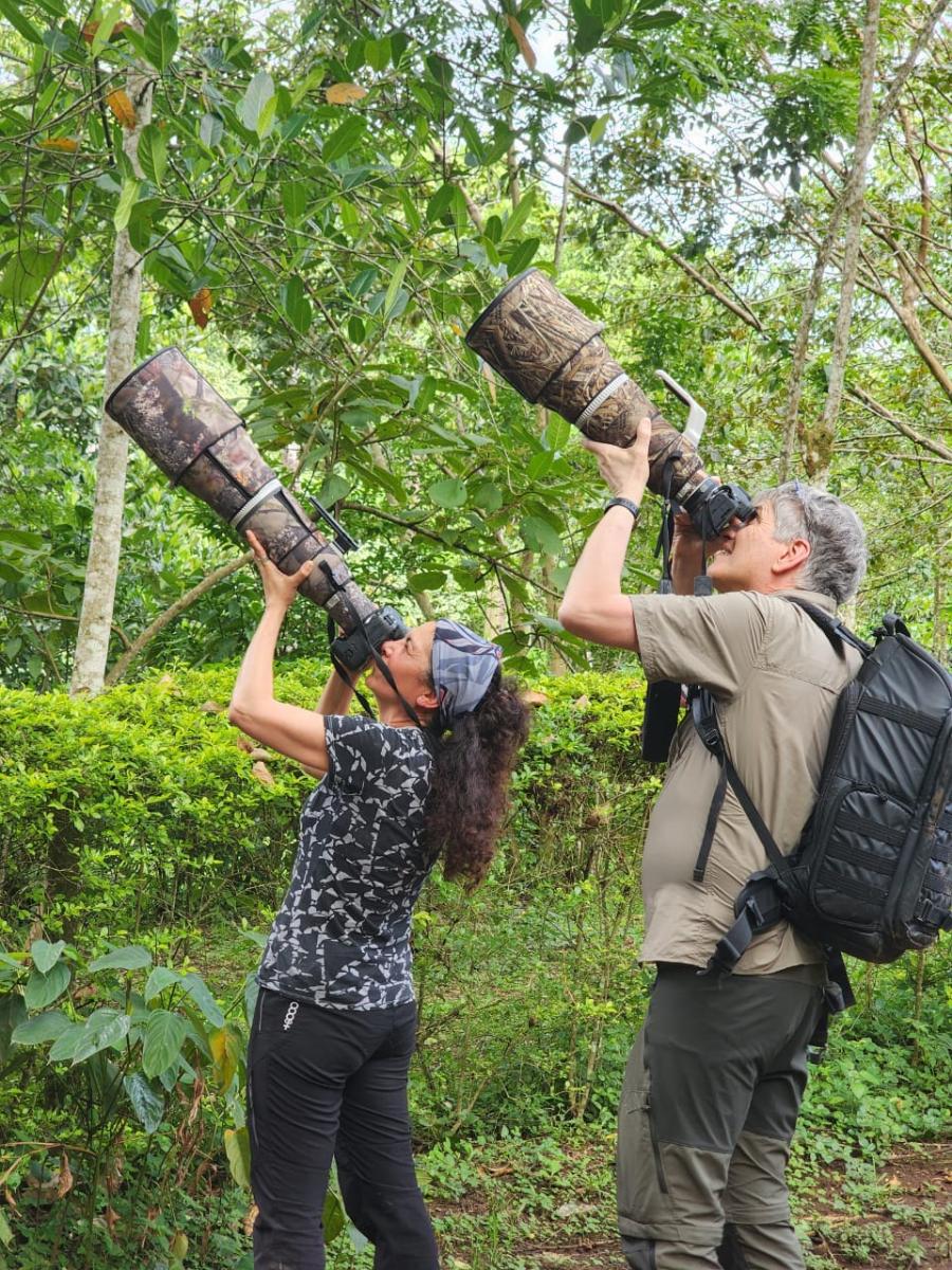 Bigodi swamp walk