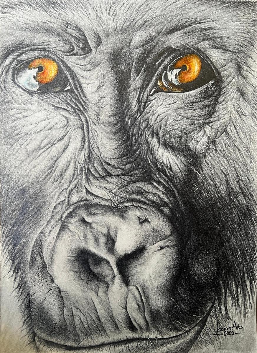 Hand Drawn Gorilla Face Portrait
