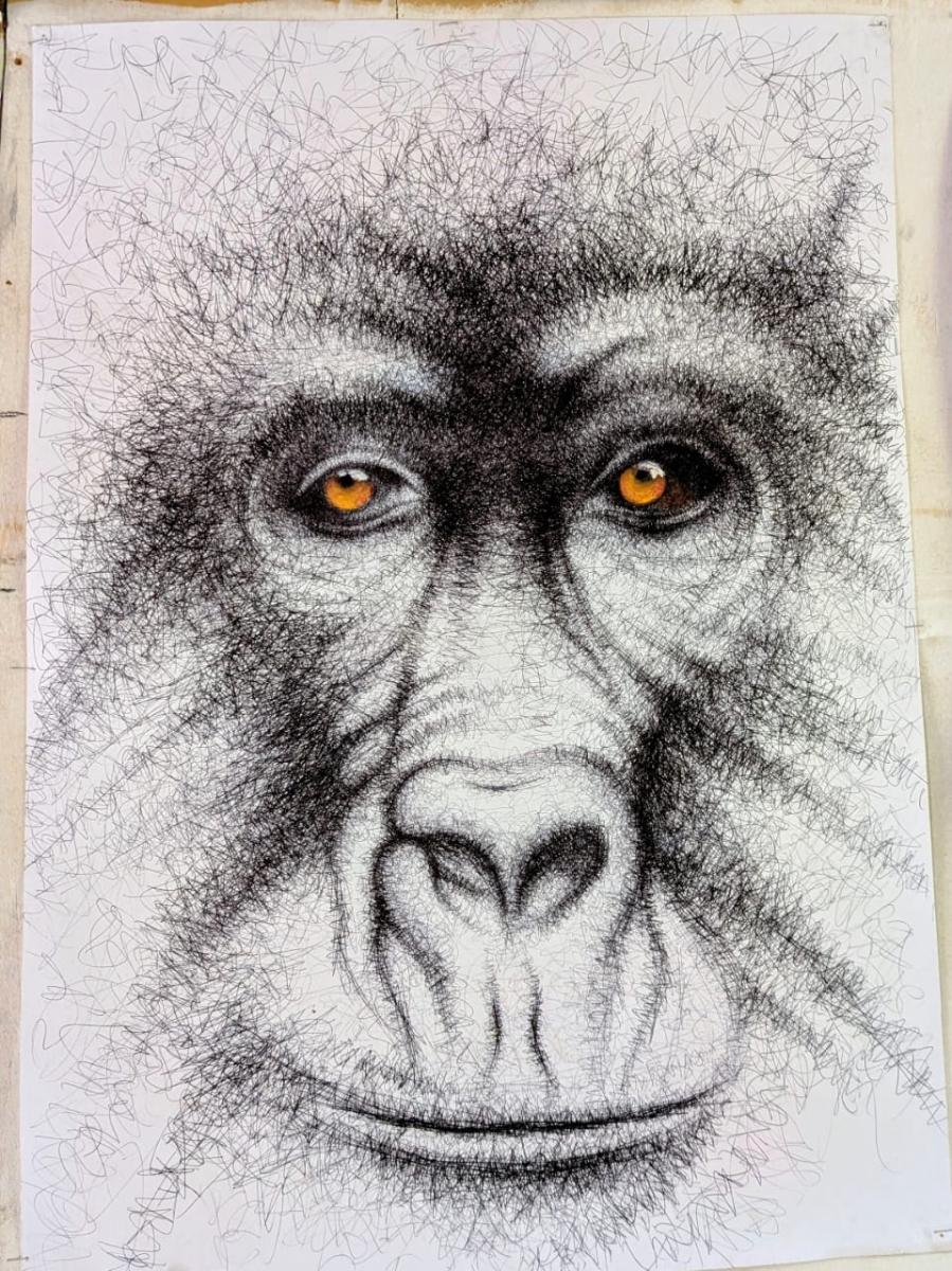 Hand Drawn Gorilla Face Portrait