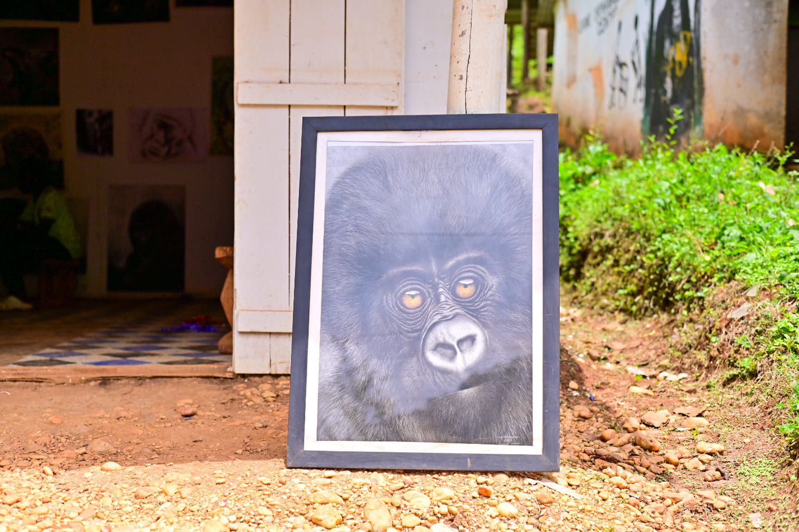 African Wildlife Paintings