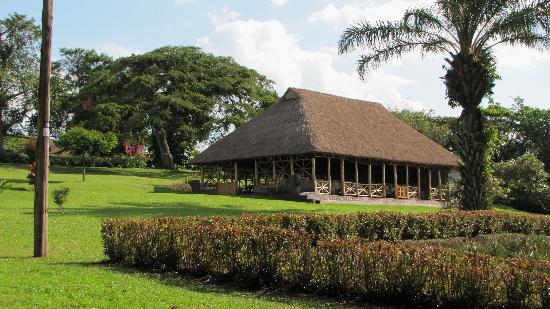 Chimpanzee Forest Lodge